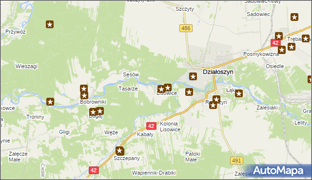 mapa Lisowice gmina Działoszyn, Lisowice gmina Działoszyn na mapie Targeo