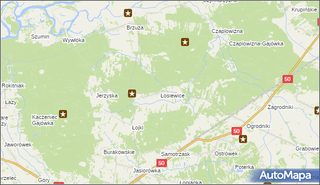 mapa Łosiewice, Łosiewice na mapie Targeo