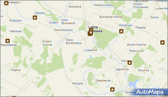 mapa Ludwinów gmina Leśna Podlaska, Ludwinów gmina Leśna Podlaska na mapie Targeo
