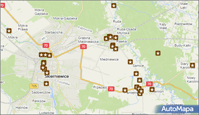 mapa Miedniewice gmina Skierniewice, Miedniewice gmina Skierniewice na mapie Targeo