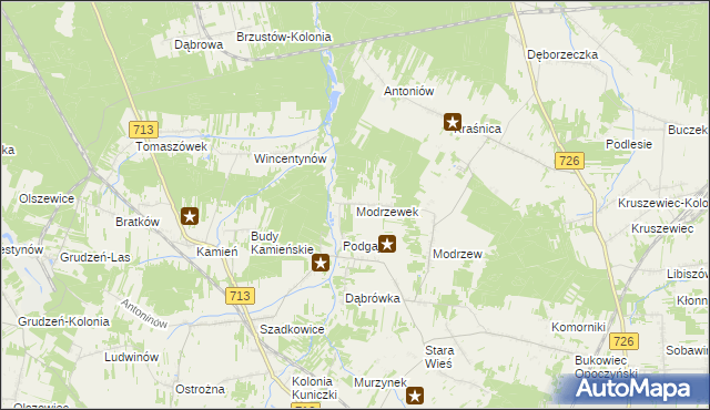 mapa Modrzewek gmina Opoczno, Modrzewek gmina Opoczno na mapie Targeo