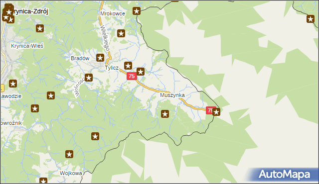 mapa Muszynka, Muszynka na mapie Targeo