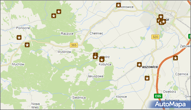 mapa Myślibórz gmina Paszowice, Myślibórz gmina Paszowice na mapie Targeo