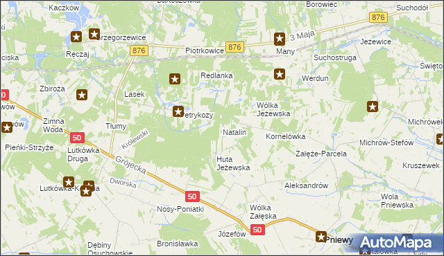 mapa Natalin gmina Pniewy, Natalin gmina Pniewy na mapie Targeo