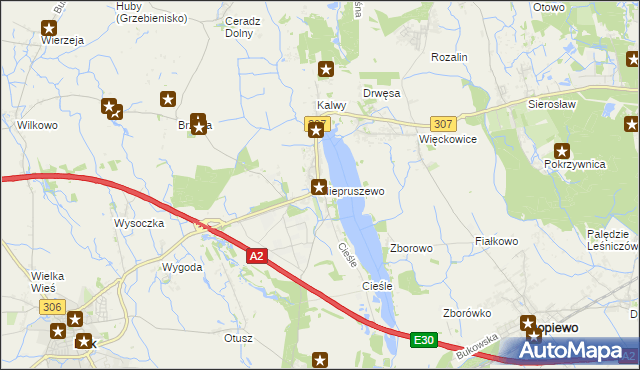 mapa Niepruszewo, Niepruszewo na mapie Targeo