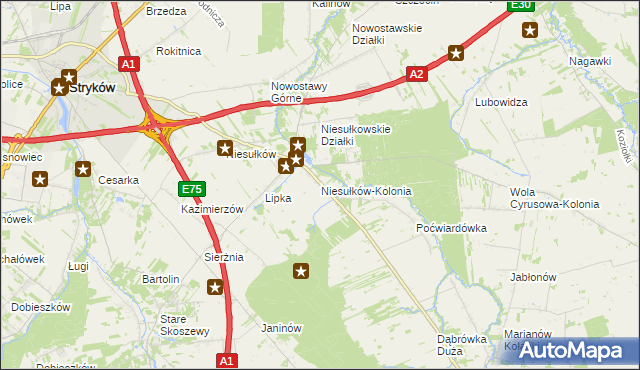 mapa Niesułków-Kolonia, Niesułków-Kolonia na mapie Targeo