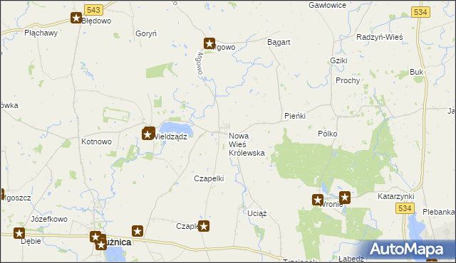 mapa Nowa Wieś Królewska gmina Płużnica, Nowa Wieś Królewska gmina Płużnica na mapie Targeo