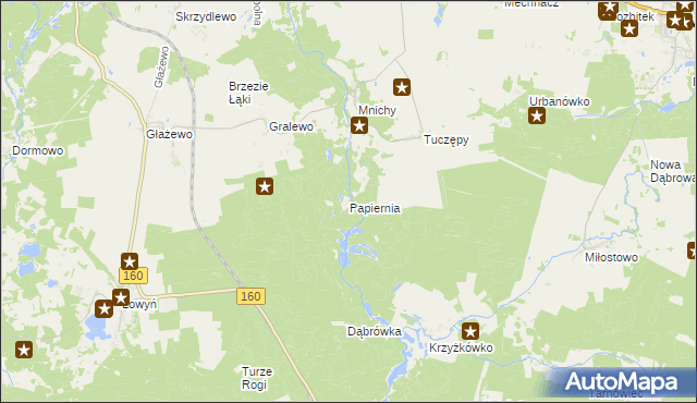 mapa Papiernia gmina Międzychód, Papiernia gmina Międzychód na mapie Targeo