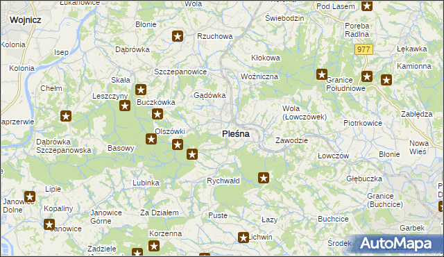 mapa Pleśna powiat tarnowski, Pleśna powiat tarnowski na mapie Targeo