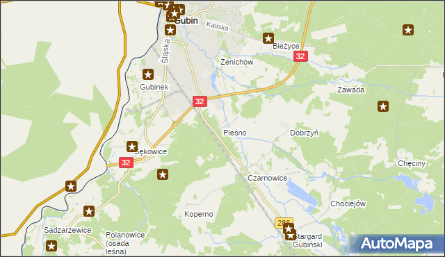 mapa Pleśno gmina Gubin, Pleśno gmina Gubin na mapie Targeo