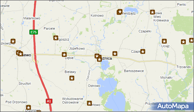 mapa Płużnica, Płużnica na mapie Targeo