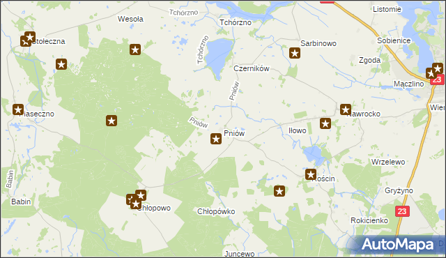 mapa Pniów gmina Myślibórz, Pniów gmina Myślibórz na mapie Targeo