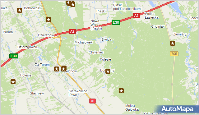 mapa Polesie gmina Nieborów, Polesie gmina Nieborów na mapie Targeo