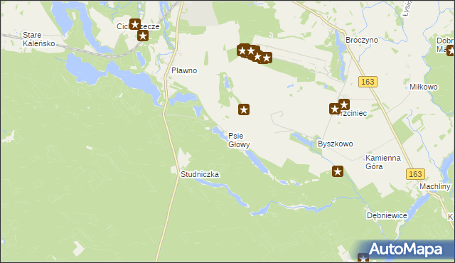 mapa Psie Głowy, Psie Głowy na mapie Targeo