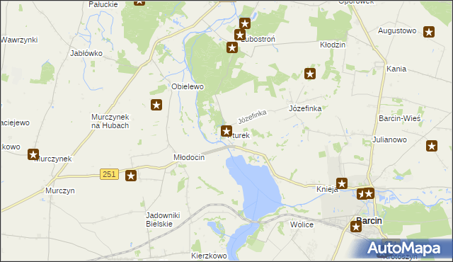 mapa Pturek, Pturek na mapie Targeo