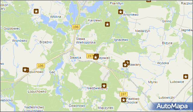 mapa Rejowiec gmina Skoki, Rejowiec gmina Skoki na mapie Targeo