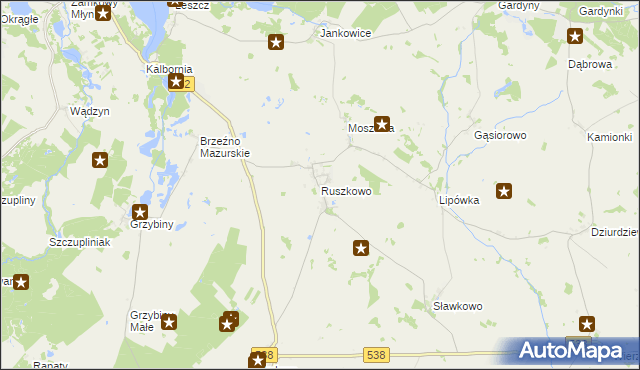 mapa Ruszkowo gmina Działdowo, Ruszkowo gmina Działdowo na mapie Targeo