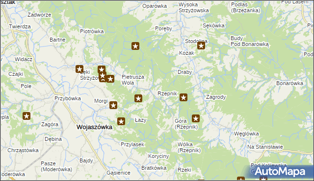 mapa Rzepnik, Rzepnik na mapie Targeo