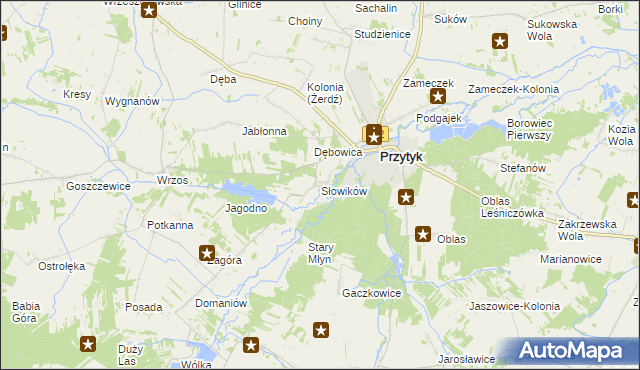 mapa Słowików gmina Przytyk, Słowików gmina Przytyk na mapie Targeo