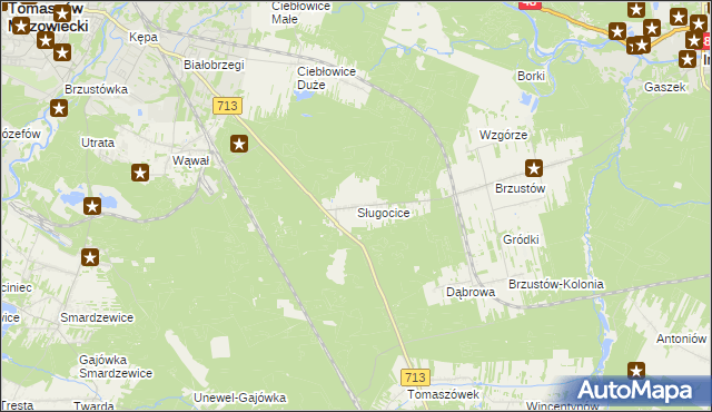mapa Sługocice gmina Tomaszów Mazowiecki, Sługocice gmina Tomaszów Mazowiecki na mapie Targeo