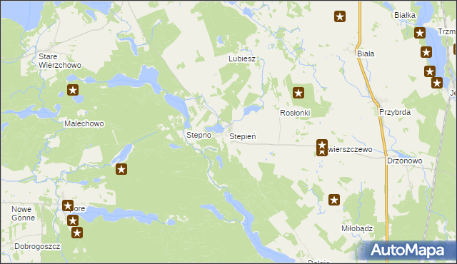 mapa Stepień, Stepień na mapie Targeo