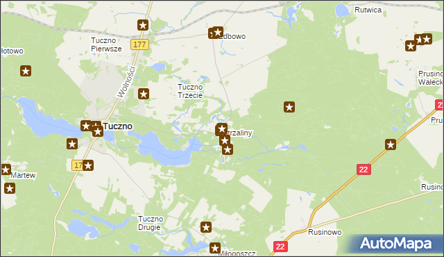 mapa Strzaliny, Strzaliny na mapie Targeo