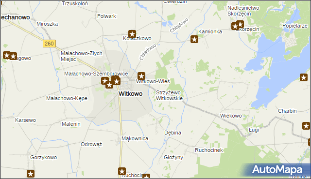 mapa Strzyżewo Witkowskie, Strzyżewo Witkowskie na mapie Targeo