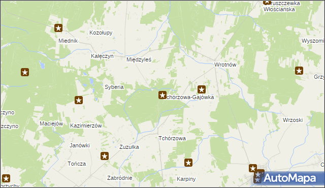 mapa Tchórzowa-Gajówka, Tchórzowa-Gajówka na mapie Targeo