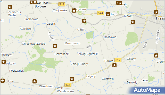 mapa Toki gmina Czernice Borowe, Toki gmina Czernice Borowe na mapie Targeo
