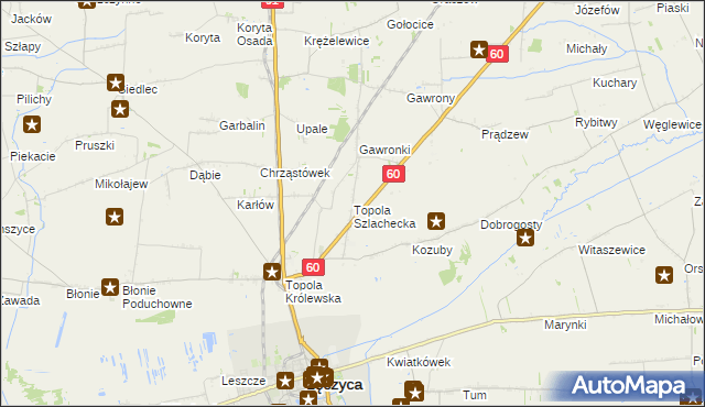 mapa Topola Szlachecka, Topola Szlachecka na mapie Targeo