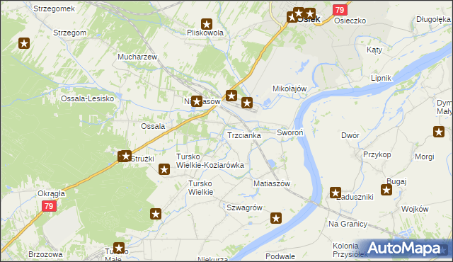 mapa Trzcianka gmina Osiek, Trzcianka gmina Osiek na mapie Targeo