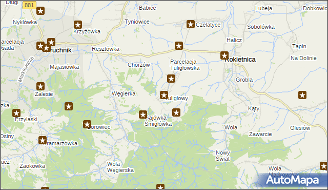 mapa Tuligłowy gmina Rokietnica, Tuligłowy gmina Rokietnica na mapie Targeo