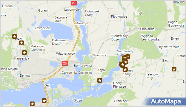 mapa Wąsosze gmina Ślesin, Wąsosze gmina Ślesin na mapie Targeo