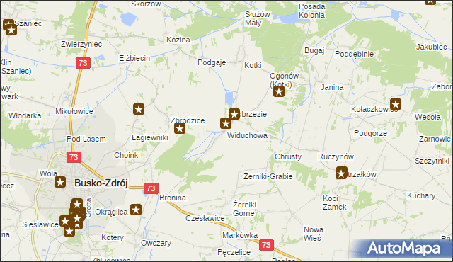 mapa Widuchowa gmina Busko-Zdrój, Widuchowa gmina Busko-Zdrój na mapie Targeo