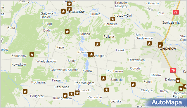 mapa Wielgie gmina Ciepielów, Wielgie gmina Ciepielów na mapie Targeo