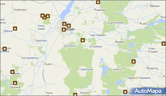 mapa Wielki Bór gmina Jutrosin, Wielki Bór gmina Jutrosin na mapie Targeo