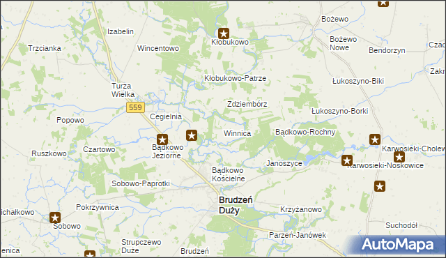 mapa Winnica gmina Brudzeń Duży, Winnica gmina Brudzeń Duży na mapie Targeo