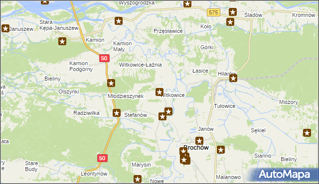 mapa Witkowice gmina Młodzieszyn, Witkowice gmina Młodzieszyn na mapie Targeo