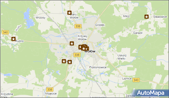 mapa Wołów, Wołów na mapie Targeo