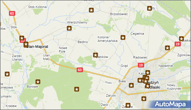 mapa Żabików gmina Radzyń Podlaski, Żabików gmina Radzyń Podlaski na mapie Targeo