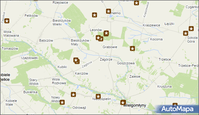 mapa Zagórze gmina Wielgomłyny, Zagórze gmina Wielgomłyny na mapie Targeo