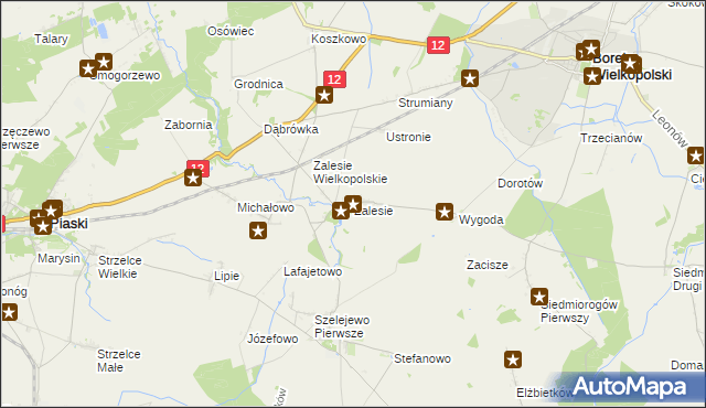 mapa Zalesie gmina Borek Wielkopolski, Zalesie gmina Borek Wielkopolski na mapie Targeo