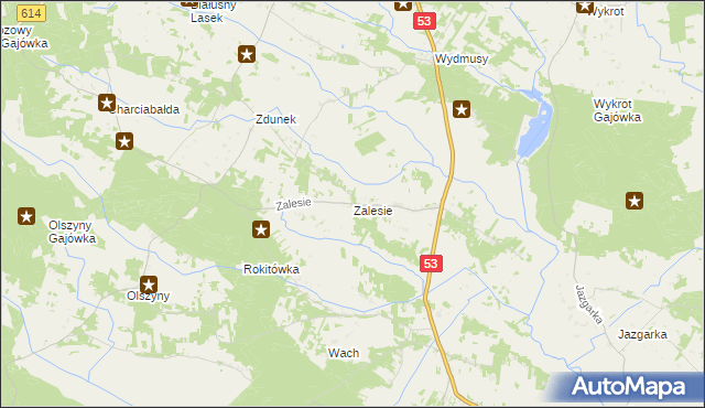 mapa Zalesie gmina Myszyniec, Zalesie gmina Myszyniec na mapie Targeo