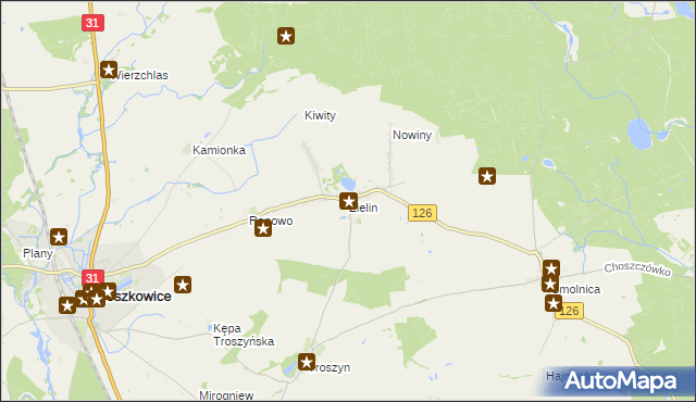 mapa Zielin gmina Mieszkowice, Zielin gmina Mieszkowice na mapie Targeo