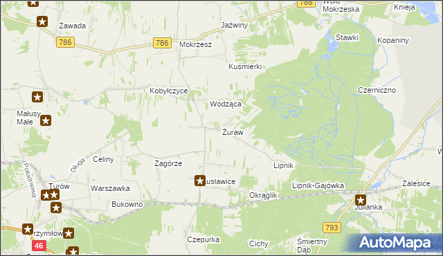 mapa Żuraw gmina Janów, Żuraw gmina Janów na mapie Targeo