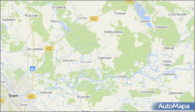 mapa Dąbrowa gmina Śrem, Dąbrowa gmina Śrem na mapie Targeo