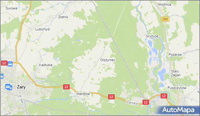 mapa Olszyniec gmina Żary, Olszyniec gmina Żary na mapie Targeo