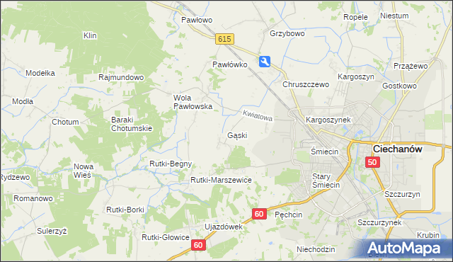 mapa Gąski gmina Ciechanów, Gąski gmina Ciechanów na mapie Targeo