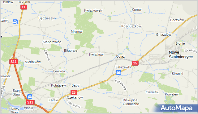 mapa Fabianów gmina Nowe Skalmierzyce, Fabianów gmina Nowe Skalmierzyce na mapie Targeo