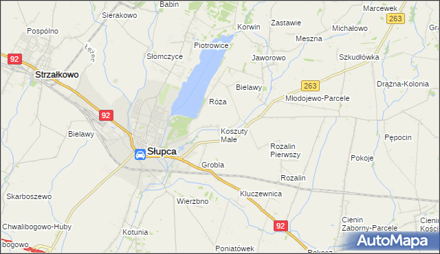 mapa Koszuty Małe, Koszuty Małe na mapie Targeo